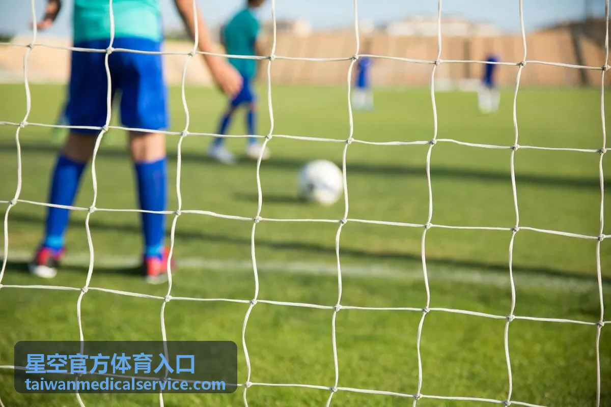星空官方体育入口账号登录与验证环节的示意画面