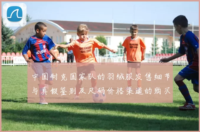 中国耐克国家队的羽绒服发售细节与真假鉴别及尺码价格渠道的购买指南