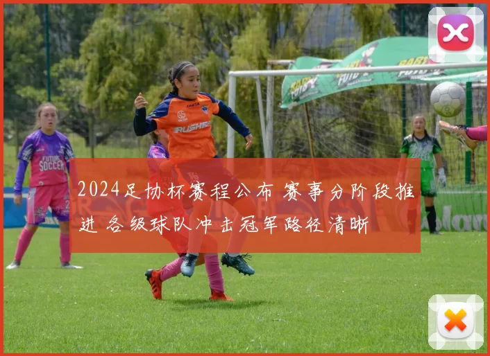 2024足协杯赛程公布 赛事分阶段推进 各级球队冲击冠军路径清晰