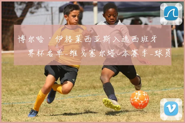 博尔哈·伊格莱西亚斯入选西班牙世界杯名单_维戈塞尔塔_本赛季_球员