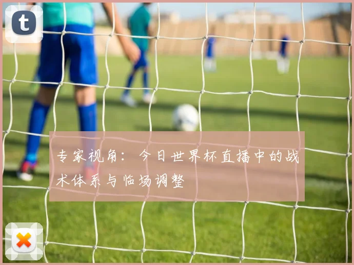 专家视角:今日世界杯直播中的战术体系与临场调整