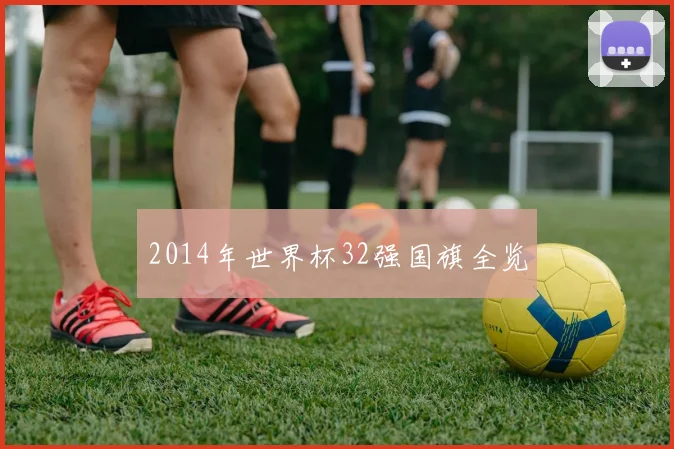 2014年世界杯32强国旗全览