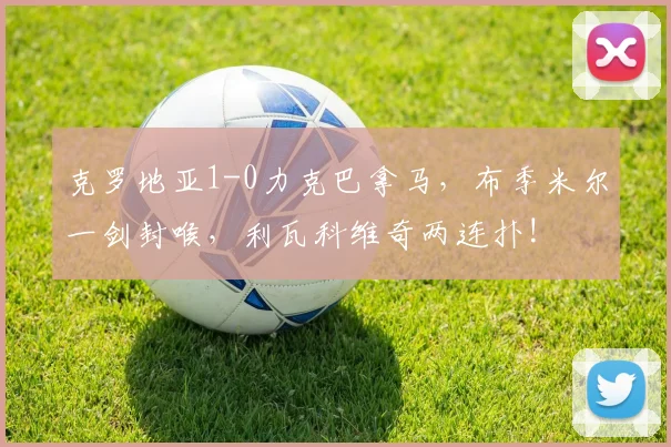 克罗地亚1-0力克巴拿马，布季米尔一剑封喉，利瓦科维奇两连扑!