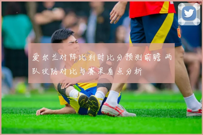 爱尔兰对阵比利时比分预测前瞻 两队攻防对比与赛果看点分析